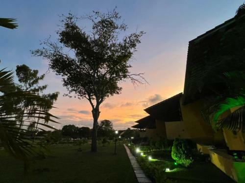 Apartamento Winterville709