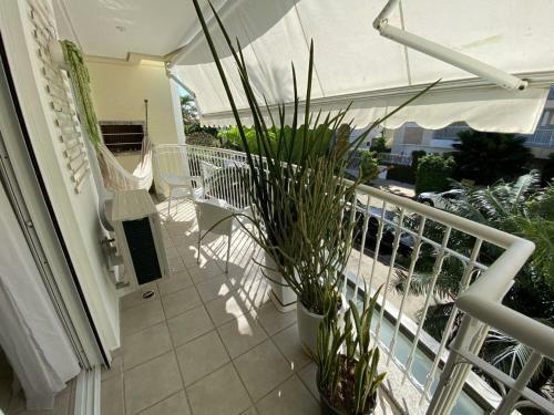 Apartamento Shiraz Jurere Florian�polis