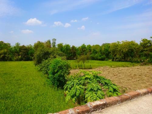 Maji Homestay Khajuraho