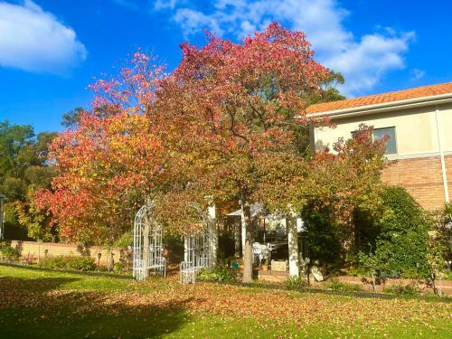 Hostal Fay's Stays(A Unique Perth Hills Retreat)