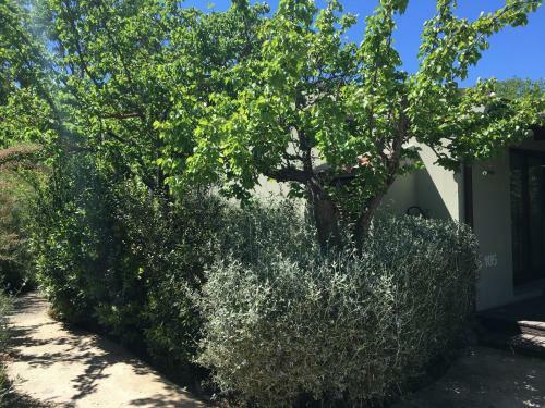 Aparthotel Camping Village Rocchette