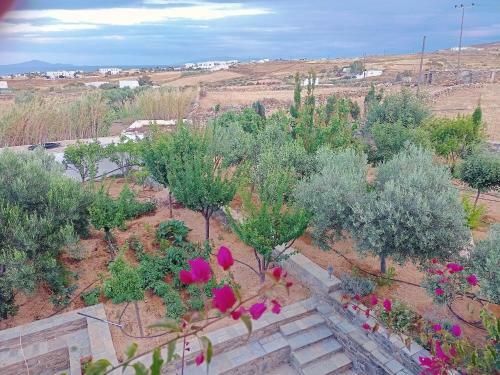 Apartamento Callisto Plus Villa 1st And Ground Floor