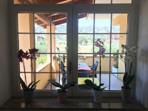 Bed & Breakfast La Casa Di Nonna Anna