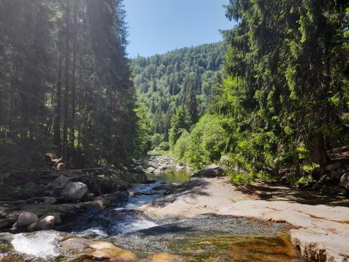 Cozy Apartment In Bed?ichov - ?pindler?v Ml�n