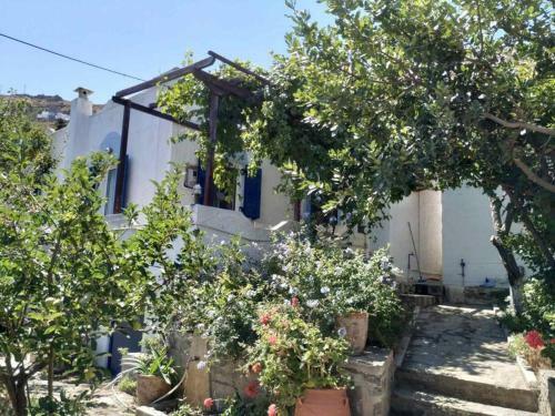 Blue & White Cycladic House Village Panagia Serifos