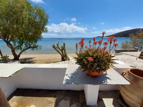 Styfilia Beachside First Floor Apartment