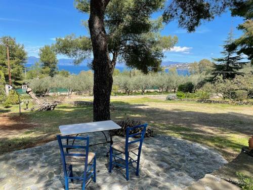Stunning Evia Sea View Country House
