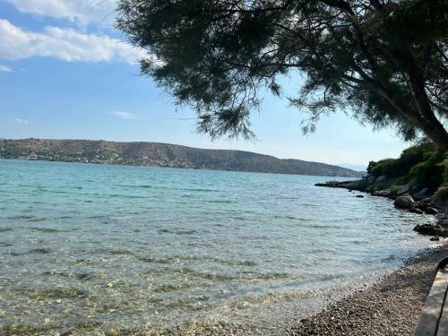Villa Oceanus Summer House