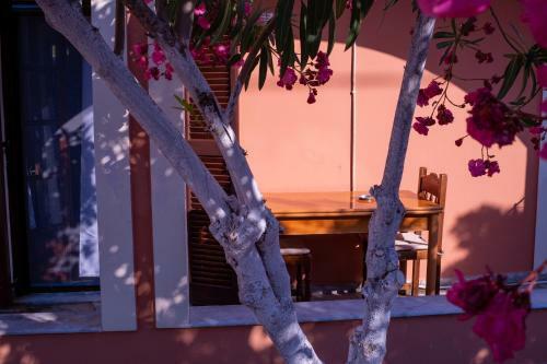 Apartamento Wilson & Andrew House - Boho Bliss
