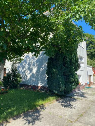 Apartament Daglezja