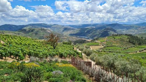 Villa Casa de Pena D'�guia - Douro Encantado