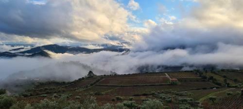 Villa Casa de Pena D'�guia - Douro Encantado