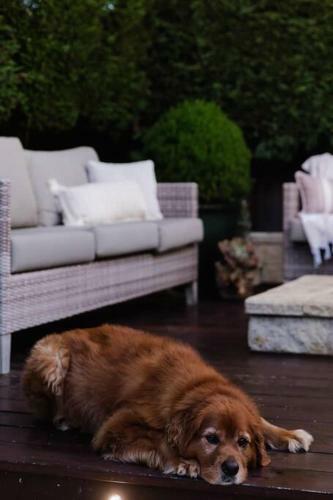 Chateau On Sydney's Northern Beaches