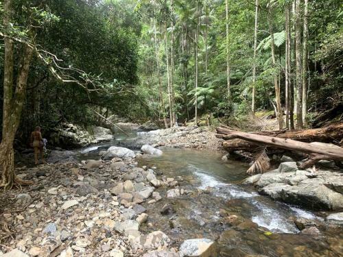 Apartamento Yurts Of Currumbin Valley