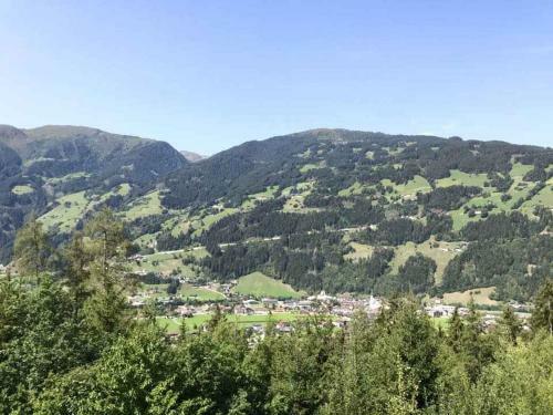 Apartment In Gerlosberg - Tirol 42414