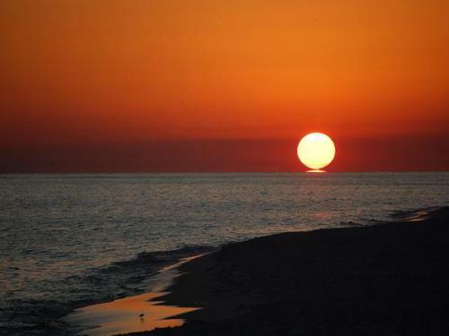 Apartamento The Pearl Of Navarre #702