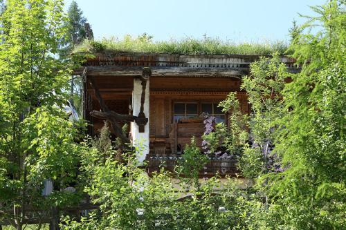 Chalet Alm Planai