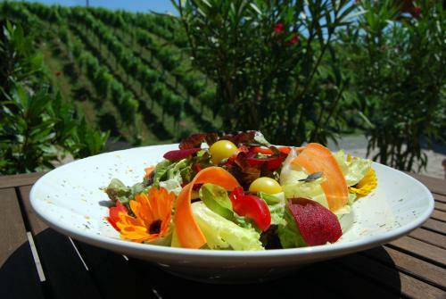Hotel Weingut Winzerzimmer Rothsch�dl