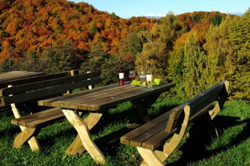 Hotel Weingut Winzerzimmer Rothsch�dl