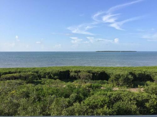Apartamento Our Kondo In The Keys