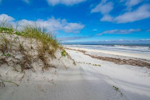 Sea Turtle Shores
