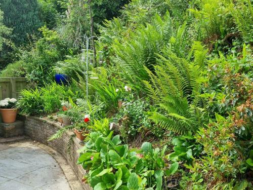 Pass The Keys Stunning Waterside Retreat With Estuary Views