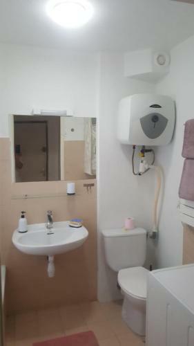 Apartamento Studio � Calvi Proche de La Mer Et Des Commerces