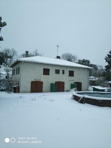 Apartamento Les Bananiers