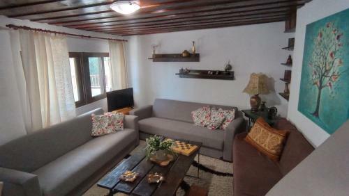 Traditional House With Fireplace And Garden