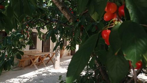 Traditional House With Fireplace And Garden