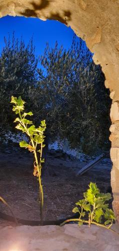 Apartamento Villa Christina