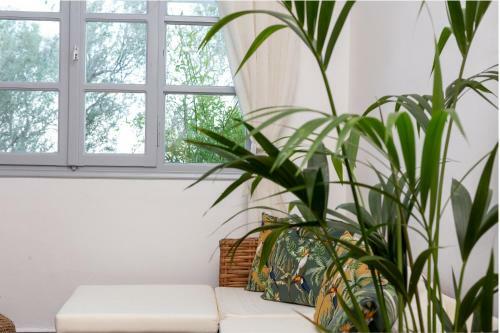 Hotel Divino Suites