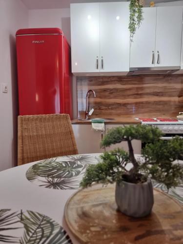 Apartamento Charming V�los House 2