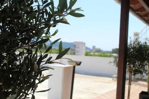 Apartamento Nomo Luxury Suite