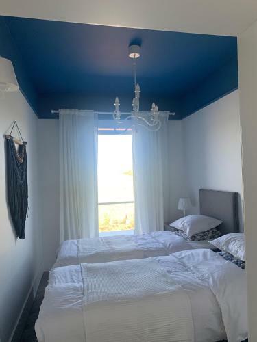 Botanica