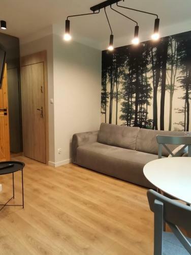 Apartamenty Nad Rzek? ?yn? - Stare Miasto