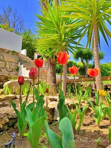 Bed & Breakfast Suite Rosa - Quinta Casalinho Da Azenha