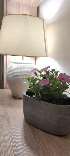 Ohana: Casa Nel Centro Di Lecce
