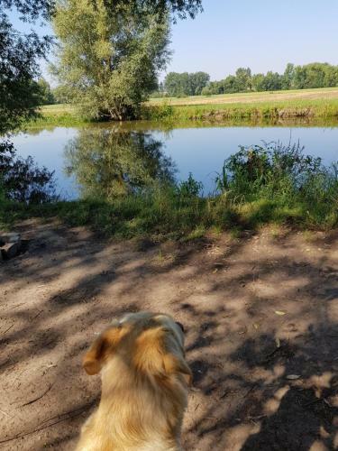 Apartamento Ferienwohnung Itzgrundruhe