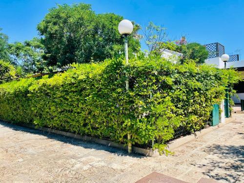 Villa Indipendente Torre Inserraglio - Salento