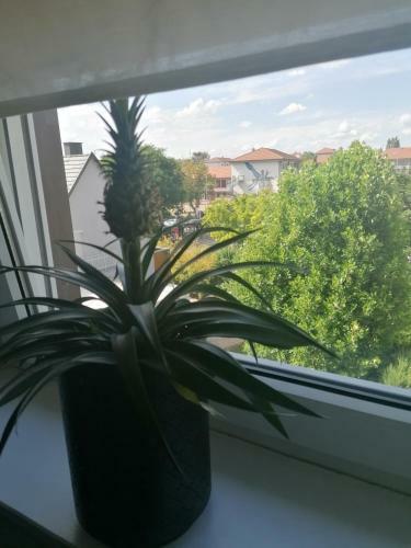 Apartamento Chez Carine