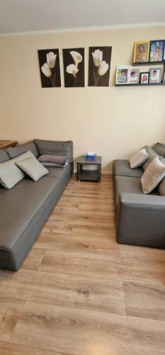 Apartamentos Completo Con Todas Las Comodidades