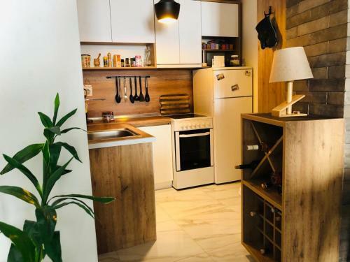 Sunrise Beach Deluxe Apartment