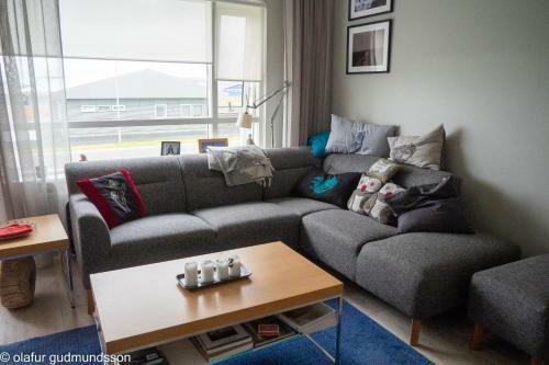 Comfortable Apartment
