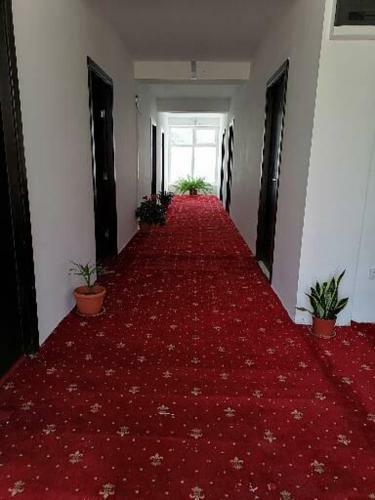 Hostal Casa Hercule
