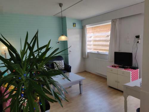 Bungalow Texel Near Beach And City Centre
