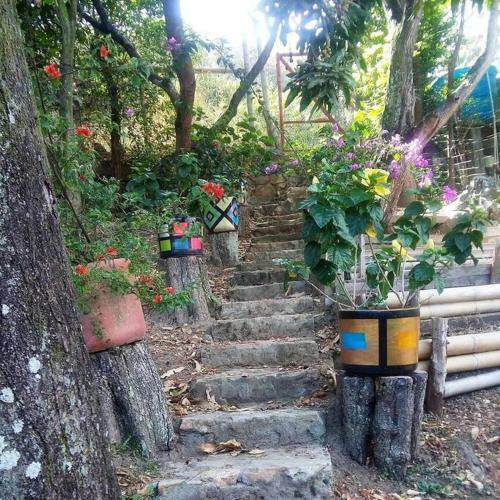 Alquiler Apartaestudi� Amoblado Cali Colombia