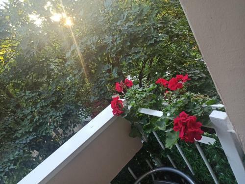 Apartman Garden