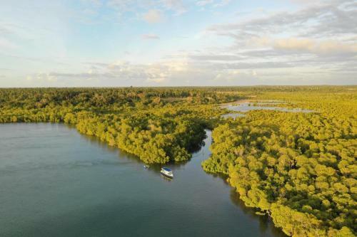 Bed & Breakfast Mafia Island Dindini Hotel