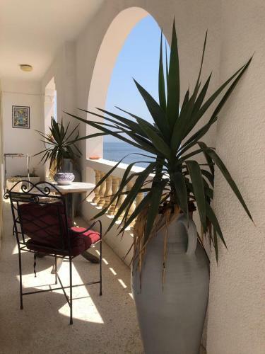 Apartamento Charmant Appartement En Front de Mer.